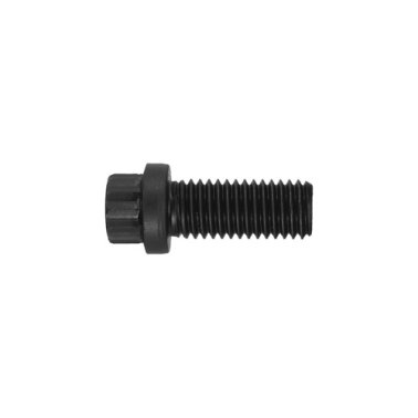 Countr-Bor Screw    (25 per pack)