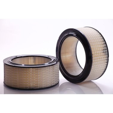 Air Filter PA2923