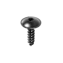 Torx Truss Head Tapping Screw (25 per pack)
