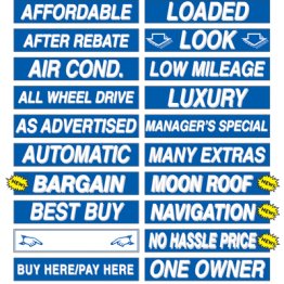 15" White & Blue Adhesive Windshield Slogans