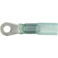 Ring Tongues 16-14 AWG 8-10 Stud Size Blue    (50 per pack)